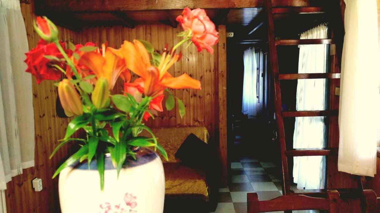 Panorama Apartment Еретрия Екстериор снимка